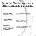 Anua Sérum Hidratante 7 Rice Ceramide Barrier 50 ml