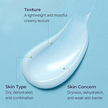 Torriden Creme DIVE IN Ácido Hialurônico de Baixo Peso Molecular 80 ml